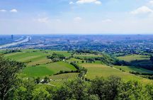 Half-Day Vienna Vineyard and Wine Tour
