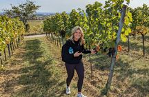 Half-Day Vienna Vineyard and Wine Tour