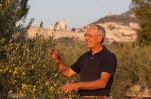 Assisi vineyard picnic and wine tasting