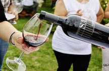 Winery of Assisi guided tasting with 5 wines and lunch