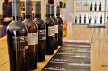 Winery of Assisi guided tasting with 5 wines and lunch