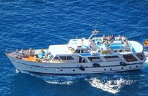 Whale-watching excursion in La Gomera with vintage boat tour