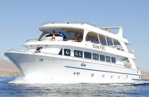 Elite VIP snorkeling cruise in Port Ghalib from Marsa Alam