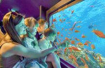 Sea scope submarine in Hurghada city and resorts
