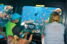 Snorkeling cruise with lunch and seascope submarine in Sharm el-Sheikh