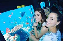 Submarine and snorkeling fun in Dahab from Sharm