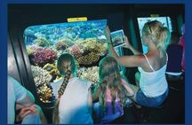 Submarine and snorkeling fun in Dahab from Sharm