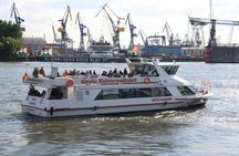 1-hour Guided Boat Tour of Hamburg Harbor