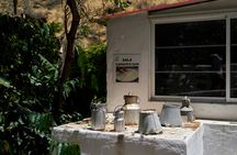 Tasting Menu at Casa Romantica, a MICHELIN Guide Restaurant