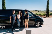 Tour of the best Ribera del Duero's wineries
