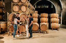 Tour of the best Ribera del Duero's wineries