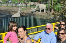 72-hour Los Angeles hop-on, hop-off city tour