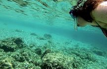 Palma Bay Private Boat Tour with Snorkeling