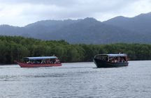 Langkawi UNESCO geopark mangrove half-day tour