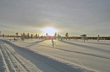 Snowmobile safari from Levi to Kumputunturi fell