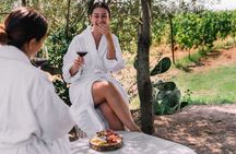 Vinotherapy in a Gallura Winery with Wine Tasting