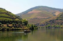 Small group tour in Douro Valley from Porto