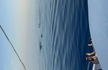 Pula dolphin-watching boat tour with dinner on board