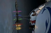 Pula dolphin-watching boat tour with dinner on board