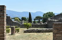 Guided tour of Pompeii from Sorrento