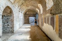 Guided tour of Pompeii from Sorrento