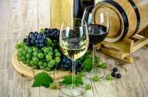 Valpolicella Wine and Food Tour With Transfer From Garda Lake