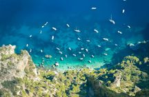 Capri Small-Group Tour from Sorrento