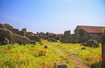 Pompeii and Herculaneum Guided Tour with Local Lunch