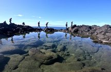 Coasteering experience in Caloura