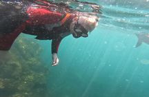 Coasteering experience in Caloura
