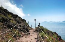 Mount Vesuvius Crater Tour with Lunch at a Vineyard from Sorrento