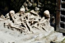 Herculaneum Half-Day Guided Tour with Entrance Tickets from Sorrento
