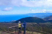Sete Cidades and Ferraria full-day hiking tour