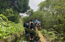 Fogo Lagoon full-day hiking tour