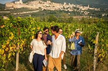 Winery of Assisi guided tasting with 5 wines and lunch