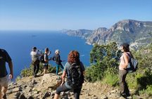 Path of Gods Trekking Tour from Sorrento