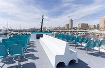 Dolphin watching catamaran cruise along Costa del Sol