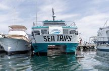 Dolphin watching catamaran cruise along Costa del Sol