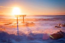 Ibaraki, Hitachi Seaside Park and Oarai Isosaki Shrine Tour in Tokyo