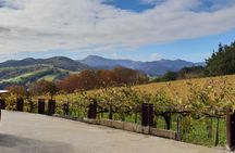 Discover the Essence of Txakoli Wine from San Sebastian