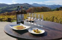 Discover the Essence of Txakoli Wine from San Sebastian