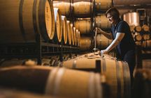 Wine cellar visit and tasting with lunch included  in La Rioja