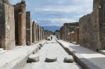 Full-Day Vesuvius and Pompeii Guided Tour with Lunch from Rome