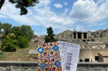 Herculaneum and Pompeii tour with audio guide