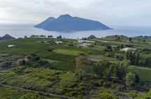 Guided Vineyard Tour and Wine Tasting on Lipari Island