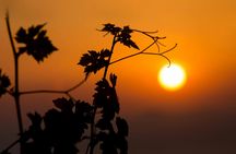 Guided Vineyard Tour and Wine Tasting on Lipari Island at Sunset