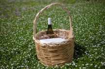 Picnic in a Vineyard in Lipari with Scenic Islands Views