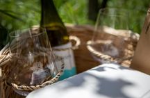 Picnic in a Vineyard in Lipari with Scenic Islands Views