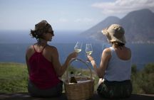 Picnic in a Vineyard in Lipari with Scenic Islands Views