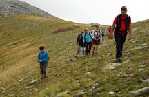 Jeep Safari Pelister from Ohrid